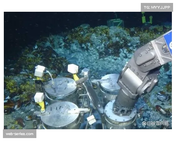 某运动品牌发布新一代篮球鞋,声称其数据反馈系统可帮助矫正投篮发力姿态 某运动品牌发布新一代篮球鞋,声称其数据反馈系统可帮助矫正投篮发力姿态